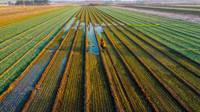 截屏2026-01-20 14.32.47.png