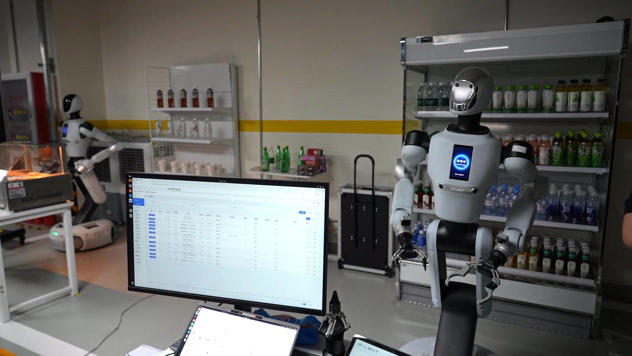 The Galbot G1 robots in demonstration. /CGTN