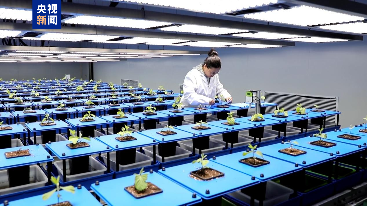 The Chinese Academy of Sciences launched the