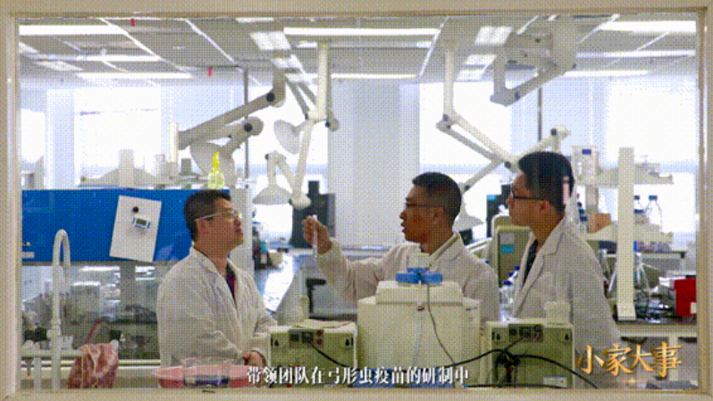 第二季 小家大事丨破“弓”